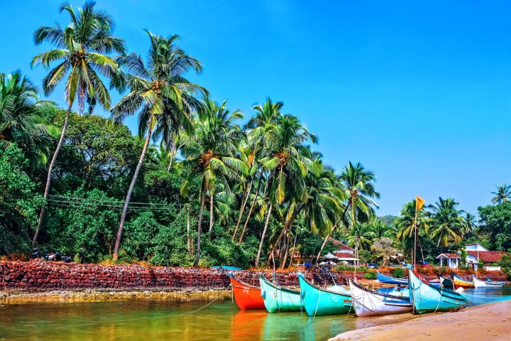 Serenity in South Goa